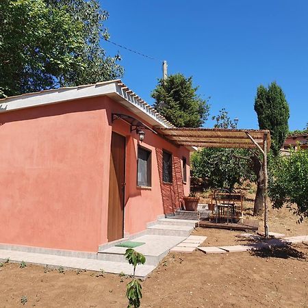 Azienda Agricola Sinisi Cerveteri Δωμάτιο φωτογραφία