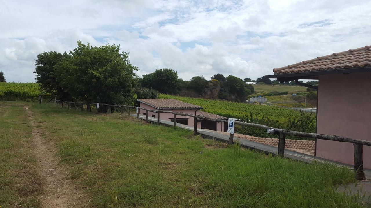 Azienda Agricola Sinisi Cerveteri Εξωτερικό φωτογραφία