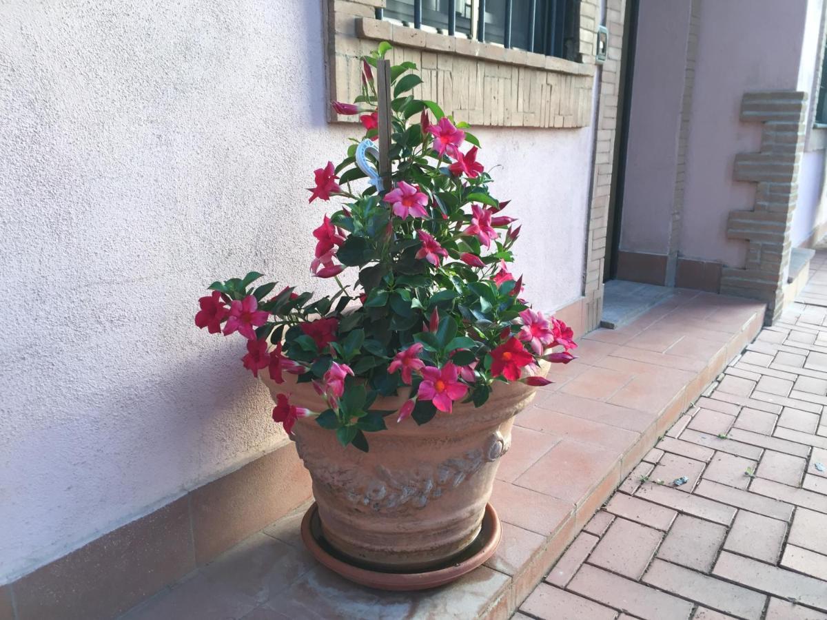 Azienda Agricola Sinisi Cerveteri Εξωτερικό φωτογραφία