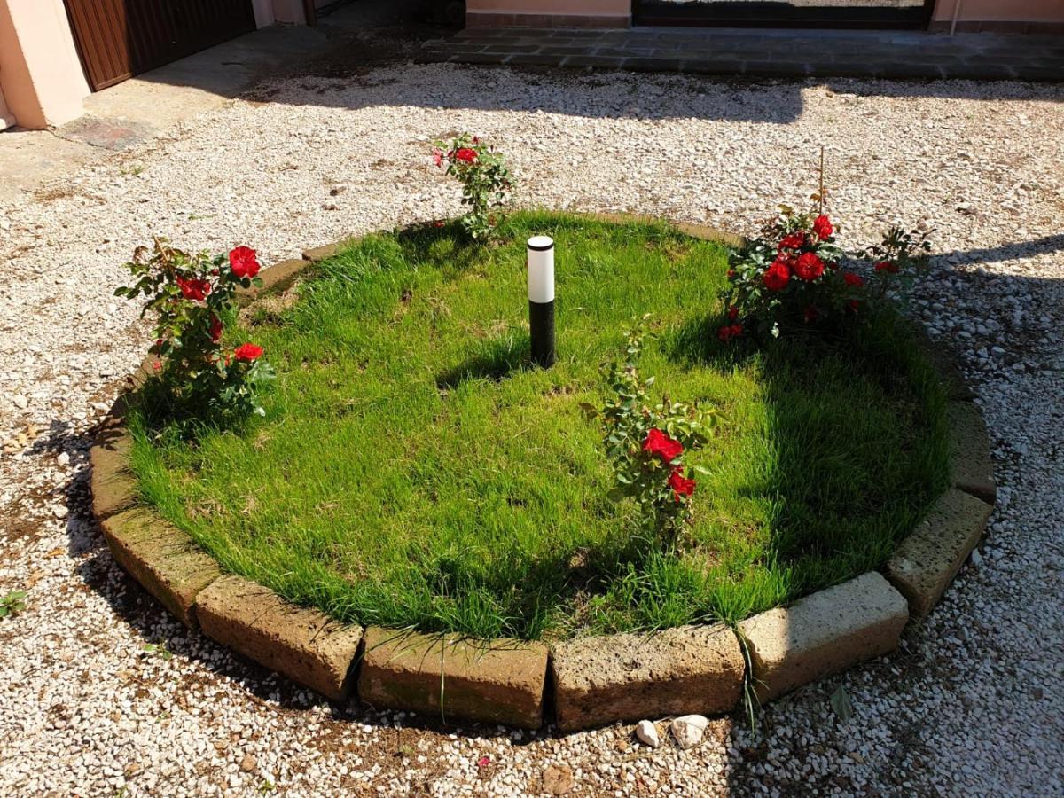 Azienda Agricola Sinisi Cerveteri Εξωτερικό φωτογραφία