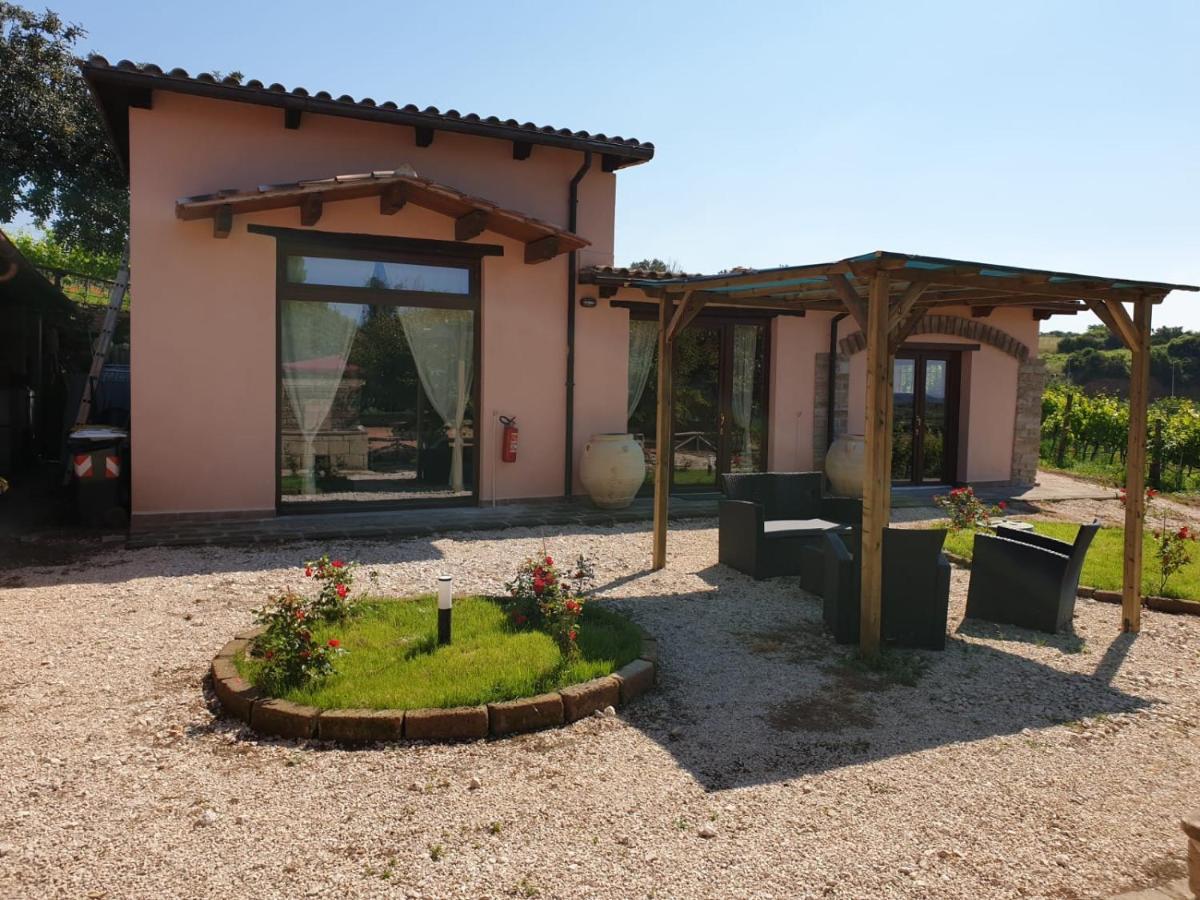 Azienda Agricola Sinisi Cerveteri Εξωτερικό φωτογραφία