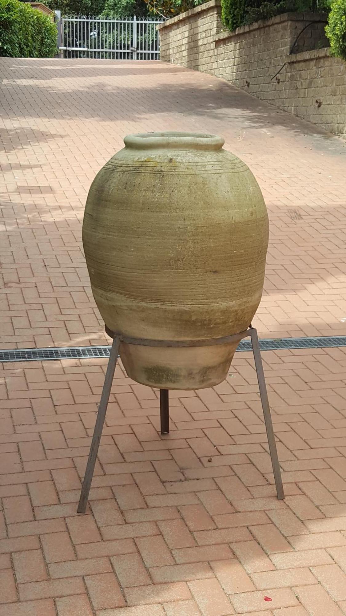 Azienda Agricola Sinisi Cerveteri Εξωτερικό φωτογραφία